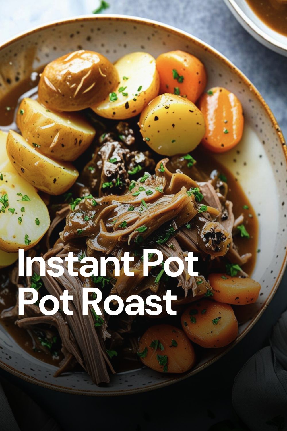 Instant Pot Roast