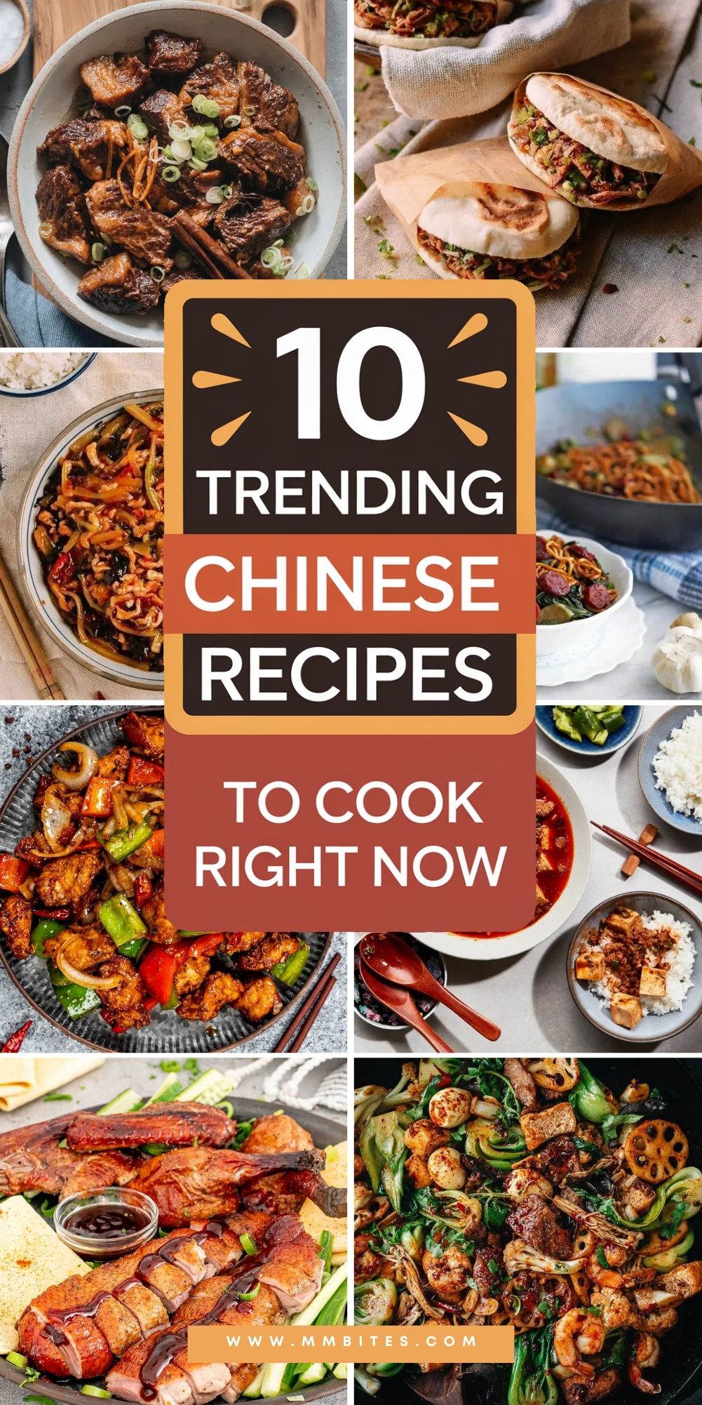 Chinese Cooking Recipes